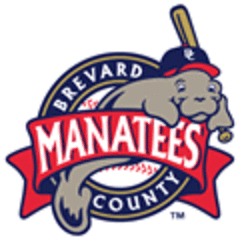 Brevard County Manatees