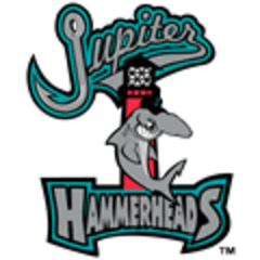 Jupiter Hammerheads
