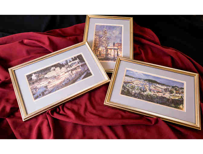 Sustainability is Cool!