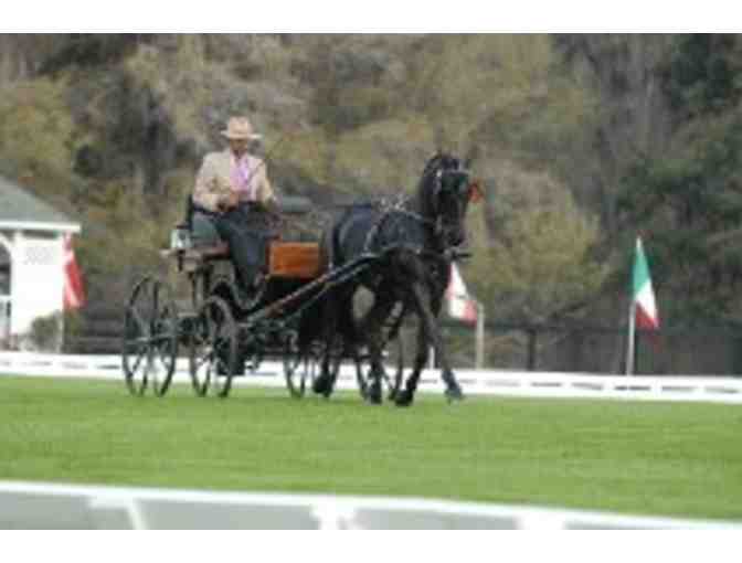 Driving Lesson with Scott Monroe - Newcastle, CA