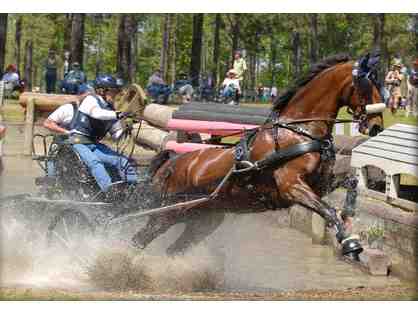 Driving Lesson with Leslie Berndl - Newcastle, CA