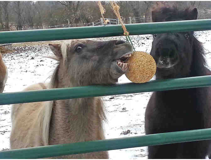 Willow Tree Horse Treats