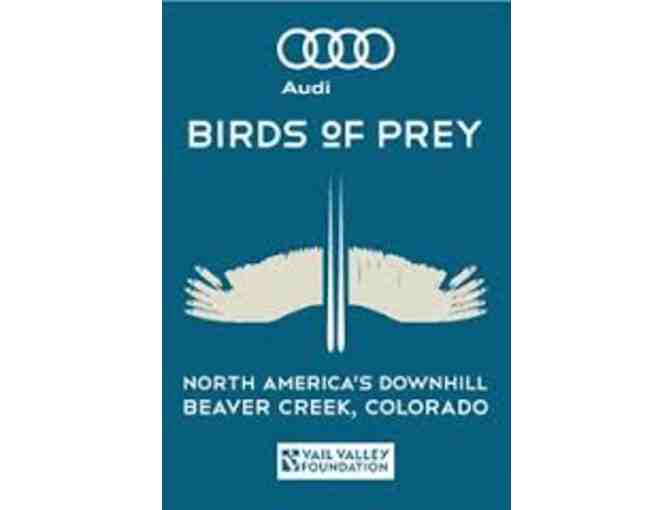 2015 Audi Birds of Prey - Beaver Creek, CO