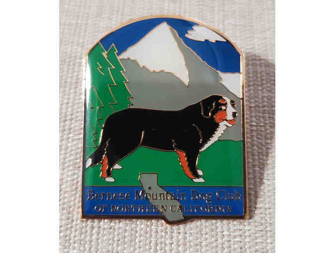 Bernese Mountain Dog Pin & T-shirt - Size M