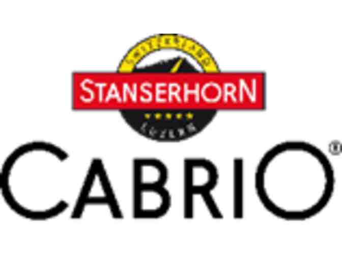 2 Tickets on CabriO Stanserhorn Aerial Cableway in Stans, Switzerland