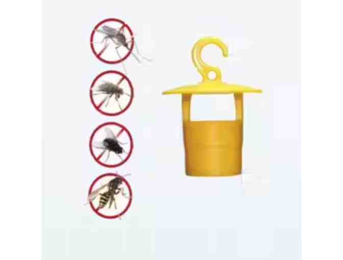Insect Trap - Wasps, flies etc
