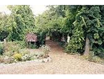 Guided Wildflower Walk and Picnic for Six