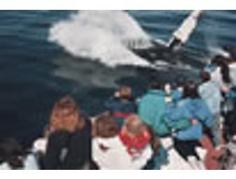Whale Watch for Two