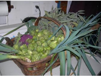 Harvest Basket from the Ramparts Farm