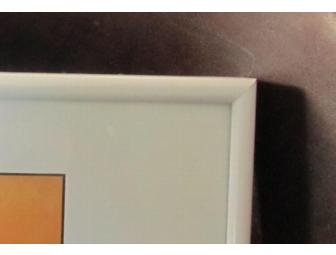 'A Trip Around the Back Shore' Framed Photo Collage