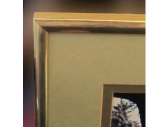 Framed photo of the Fitz Henry Lane House