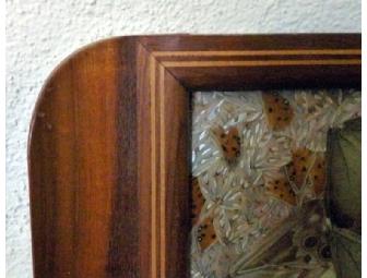 Butterfly Serving Tray (Value Changed!)