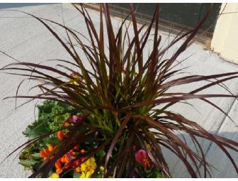 Fall Planter Arrangement