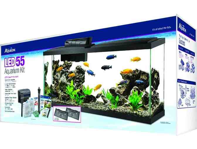 AQUEON Aquarium Kit - Photo 1