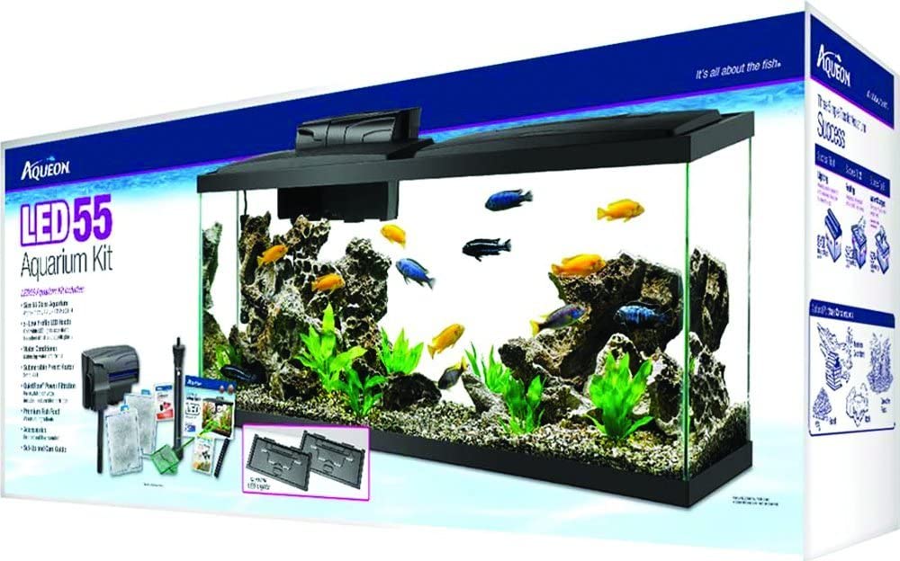 AQUEON Aquarium Kit