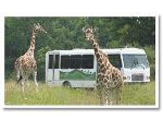 The Wilds Safari Transport Pass (2)