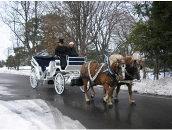 Horse-Drawn Carriage or Wagon Ride (1-Hour) - from Horseshoe Farm Carriage Service