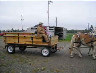 Horse-Drawn Carriage or Wagon Ride (1-Hour) - from Horseshoe Farm Carriage Service