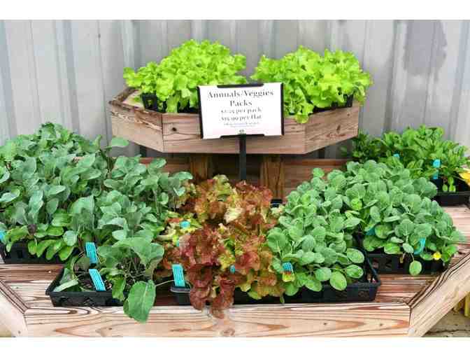 Baskets to Grow your Garden, plus $80 to Dutch Mill Greenhouse