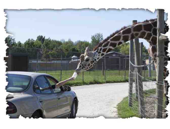 African Wildlife Park - VIP Car Pass (admits up to 8 guests)