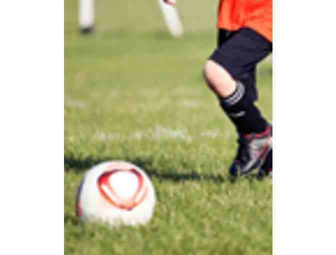 Elite FC Youth Soccer Camp Fee