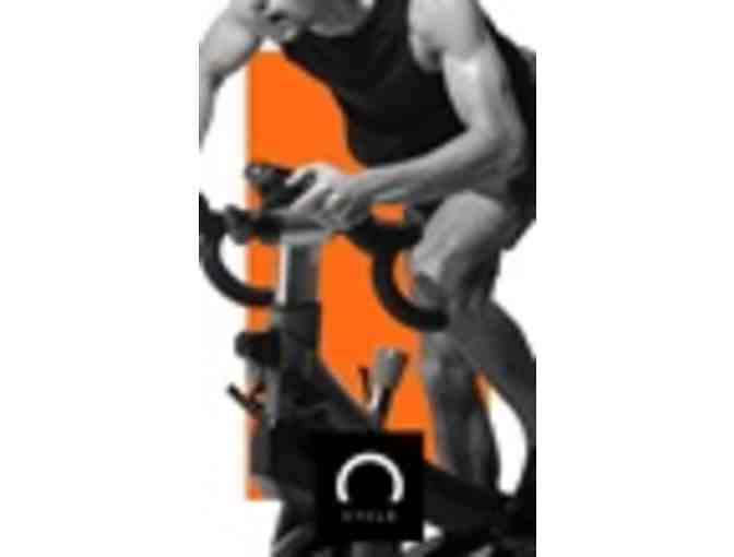 SALT Fitness Bucktown 1 Month Unlimited Classes