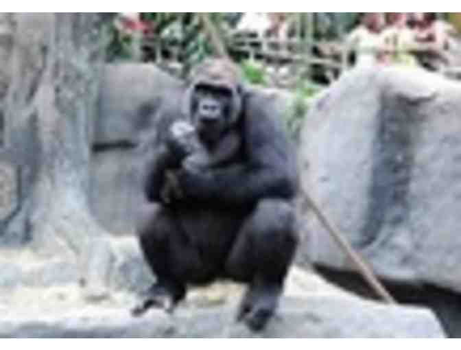 Six All-Inclusive Passes to Brookfield Zoo Including Parking