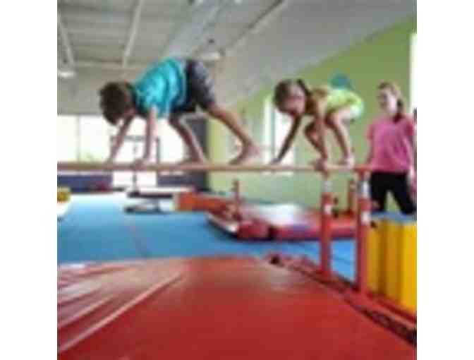 The Little Gym: 50% Off Summer Class Tuition or $100 off summer camp flex pass