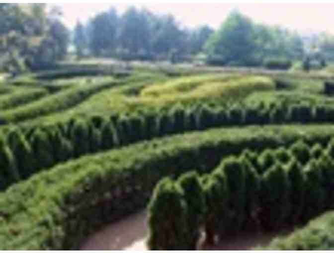 6 Admission Passes to Morton Arboretum