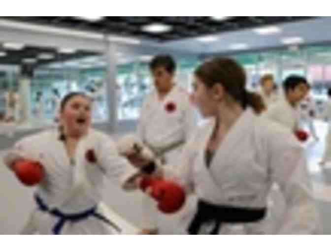 One Month Membership to Fonseca Martial Arts