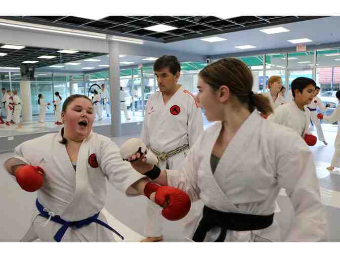 One Month Membership to Fonseca Martial Arts