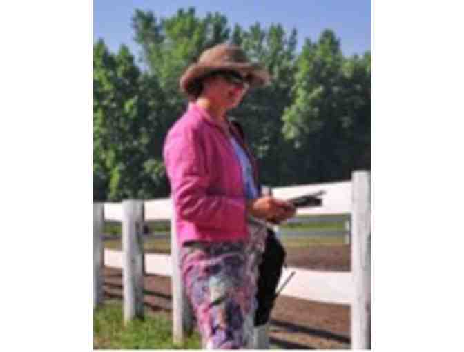 $150 toward dressage technical delegate services of Michelle D. King, TD (r) - Photo 1