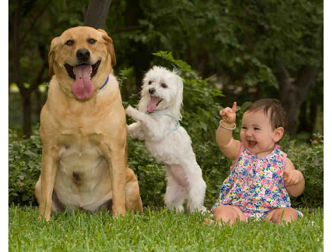 Robin Jackson Photography 5' x 7' Pet Portrait