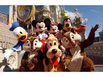 4 Passes to Walt Disney World Theme Parks