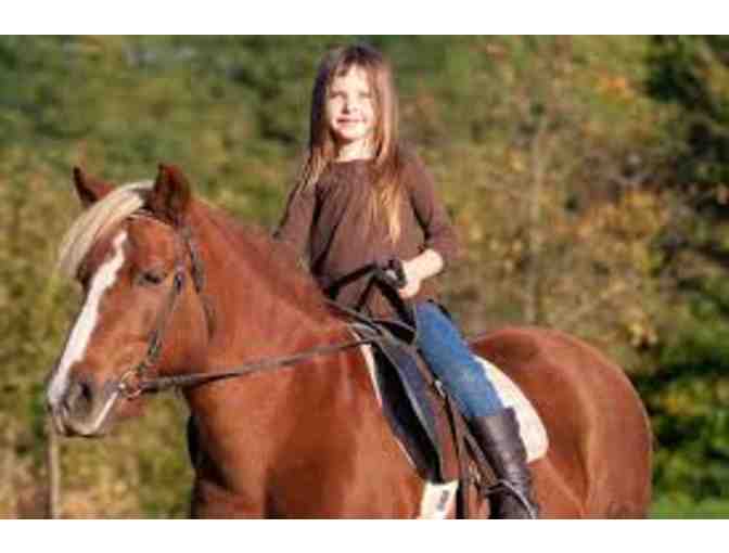 Memory Maker: Horseback Riding and Smore's at the Morgan's for up to 3 People