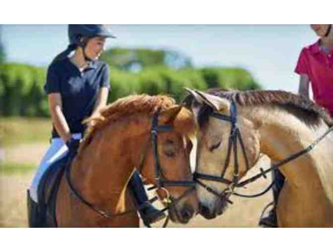Memory Maker: Horseback Riding and Smore's at the Morgan's for up to 3 People