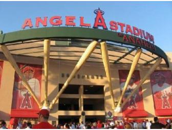 Angels VIP Experience