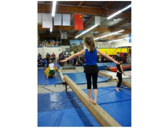 Gymnastics Olympica
