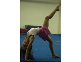 Junior Gym Certificate