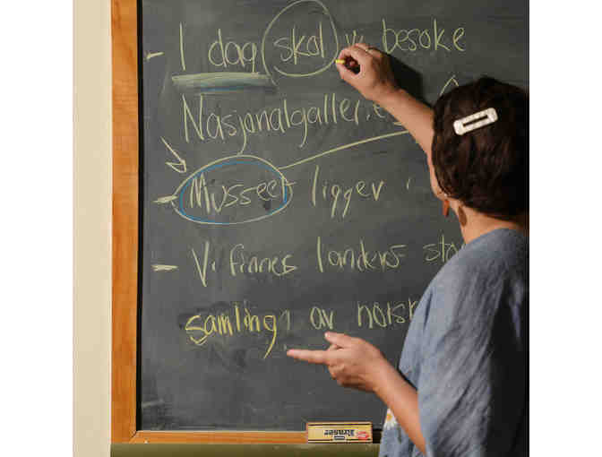 Vesterheim Folk Art School Online Class Experience