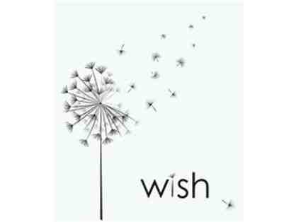 Make a Wish Come True