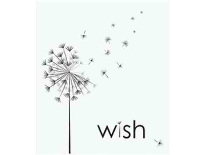 Make a Wish Come True