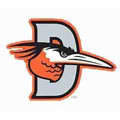 Delmarva Shorebirds