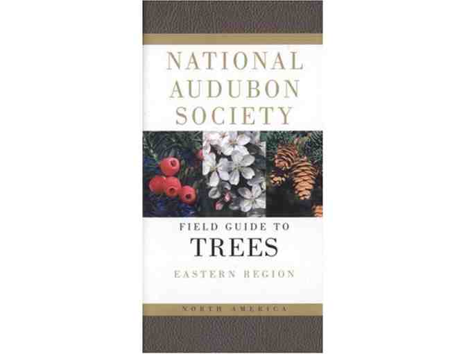 Enjoy a 'Field Guide to Trees' and 'Walking to Listen'