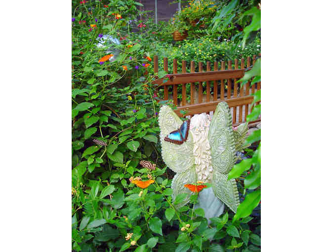 4-Pack to Magic Wings Butterfly Conservatory