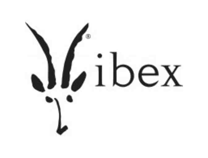 Ibex Men's Indie Hoody