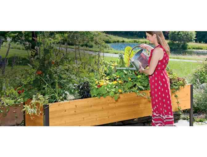 $100 to Gardener's Supply Co.