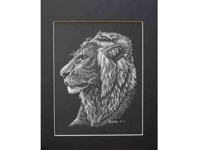 Douglas Aja - Lion and Lioness Images