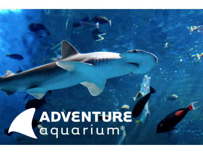 Adventure Aquarium Trip for 2! - Photo 1