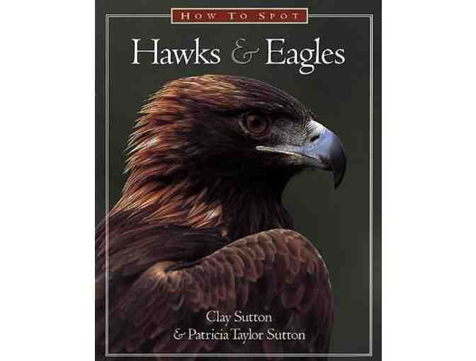 'How to Spot an Owl' and 'How to Spot Hawks & Eagles'